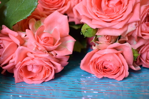 Image-preview_300x200