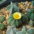 Image-square_50