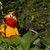 Image-square_50