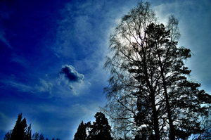 Image-preview_300x200