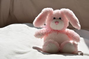Image-preview_300x200