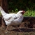 Image-square_50