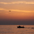 Image-square_50