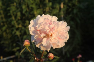 Image-preview_300x200