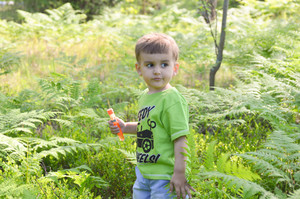 Image-preview_300x200