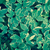 Image-square_50