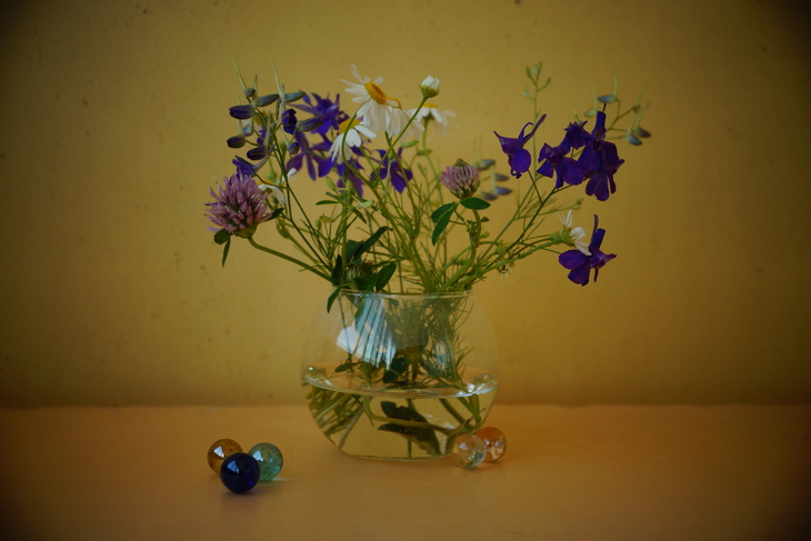 Image-normal