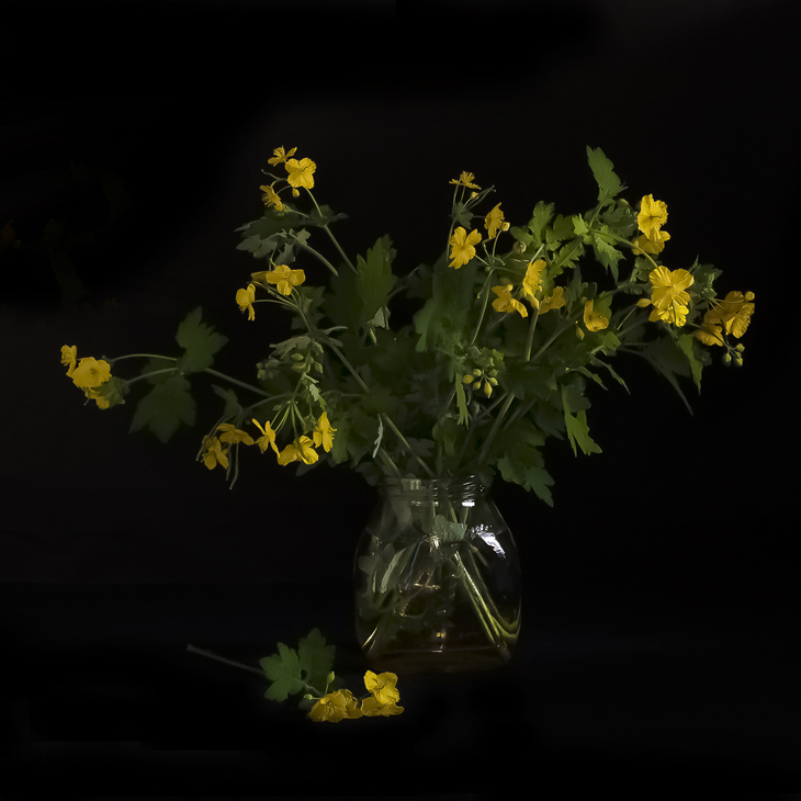 Image-normal