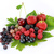 Image-square_50
