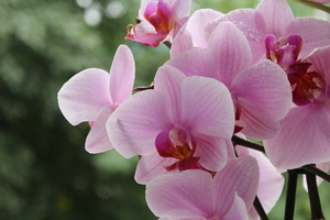 Image-preview_300x200