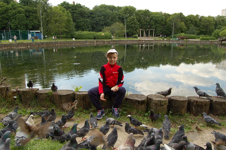 Image-normal