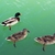 Image-square_50