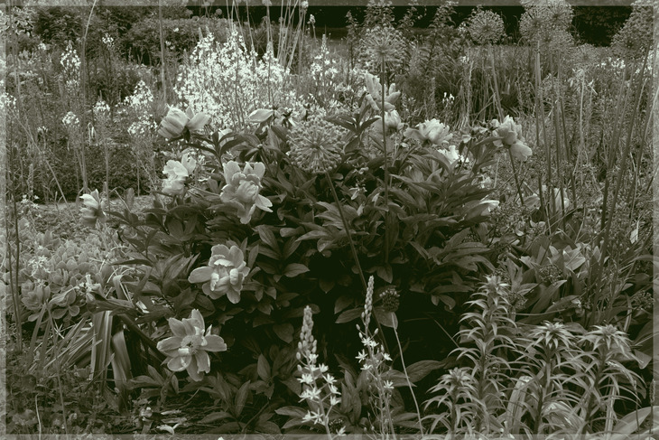 Image-normal