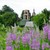 Image-square_50