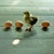 Image-square_50