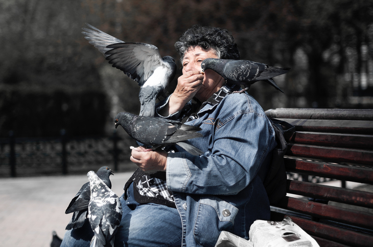 Image-normal
