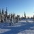 Image-square_50