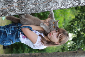 Image-preview_300x200