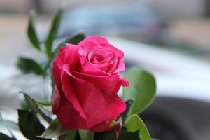 Image-preview_300x200