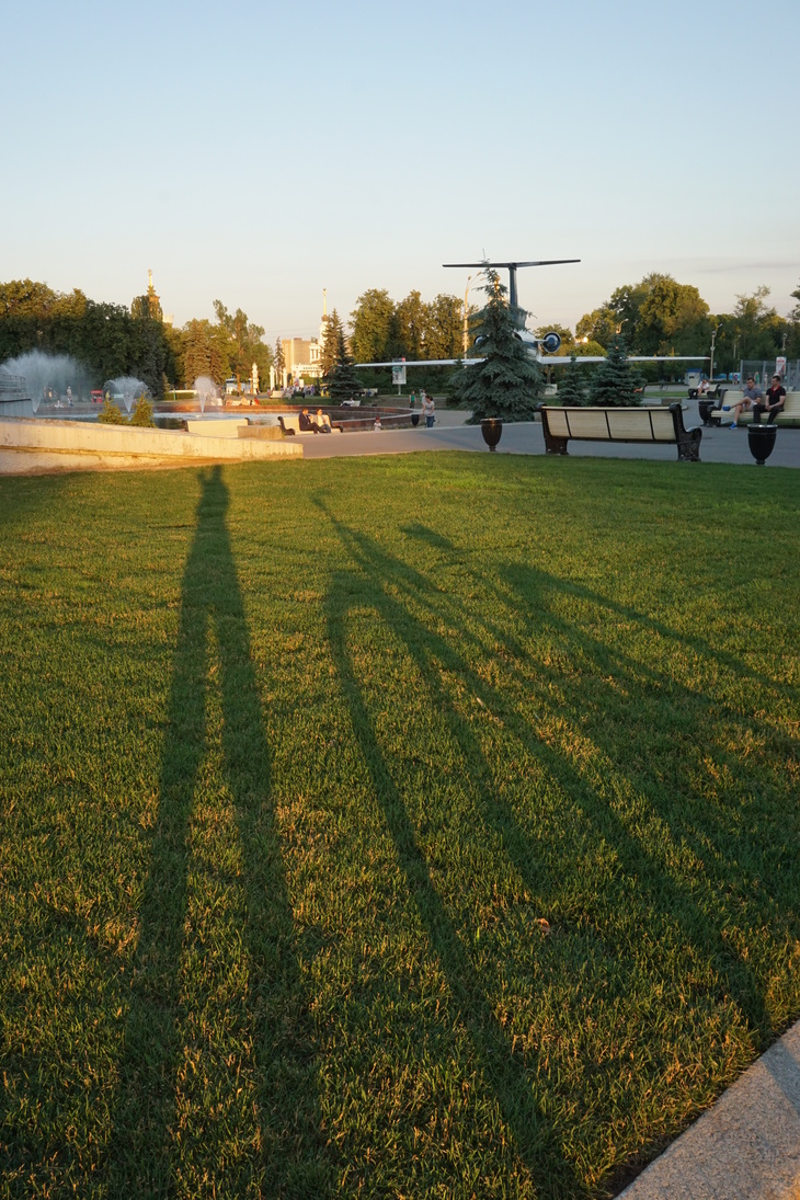Image-normal
