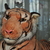 Image-square_50