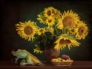 Image-preview_300x200