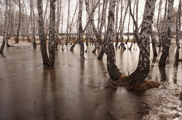Image-normal