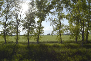 Image-preview_300x200