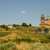 Image-square_50