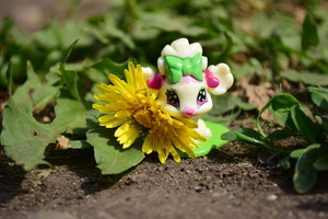 Image-preview_300x200