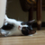 Image-square_50