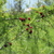 Image-square_50