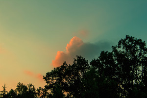 Image-preview_300x200