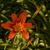 Image-square_50