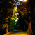 Image-square_50