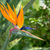Image-square_50