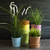 Image-square_50