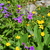 Image-square_50