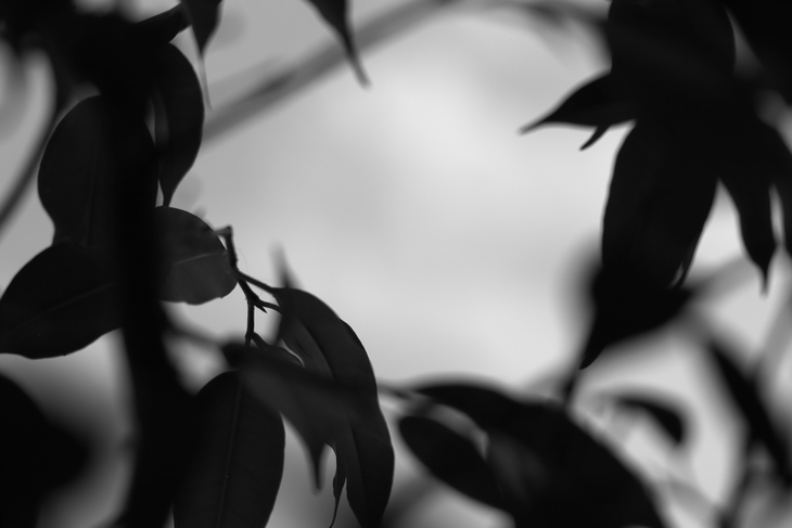 Image-normal