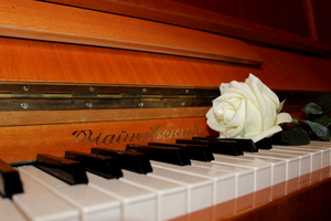 Image-preview_300x200