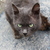 Image-square_50
