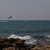 Image-square_50