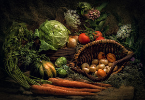 Image-preview_300x200