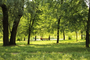Image-preview_300x200