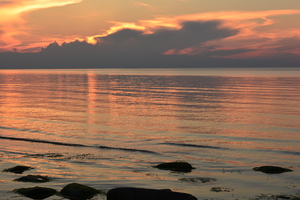 Image-preview_300x200