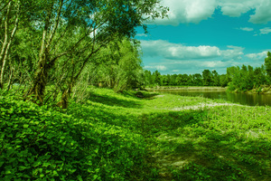 Image-preview_300x200