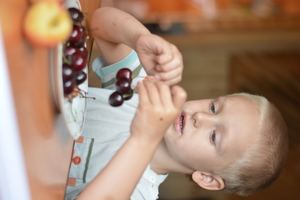 Image-preview_300x200