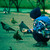 Image-square_50