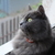 Image-square_50