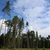 Image-square_50